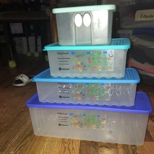 Tupperware FridgeSmart containers!